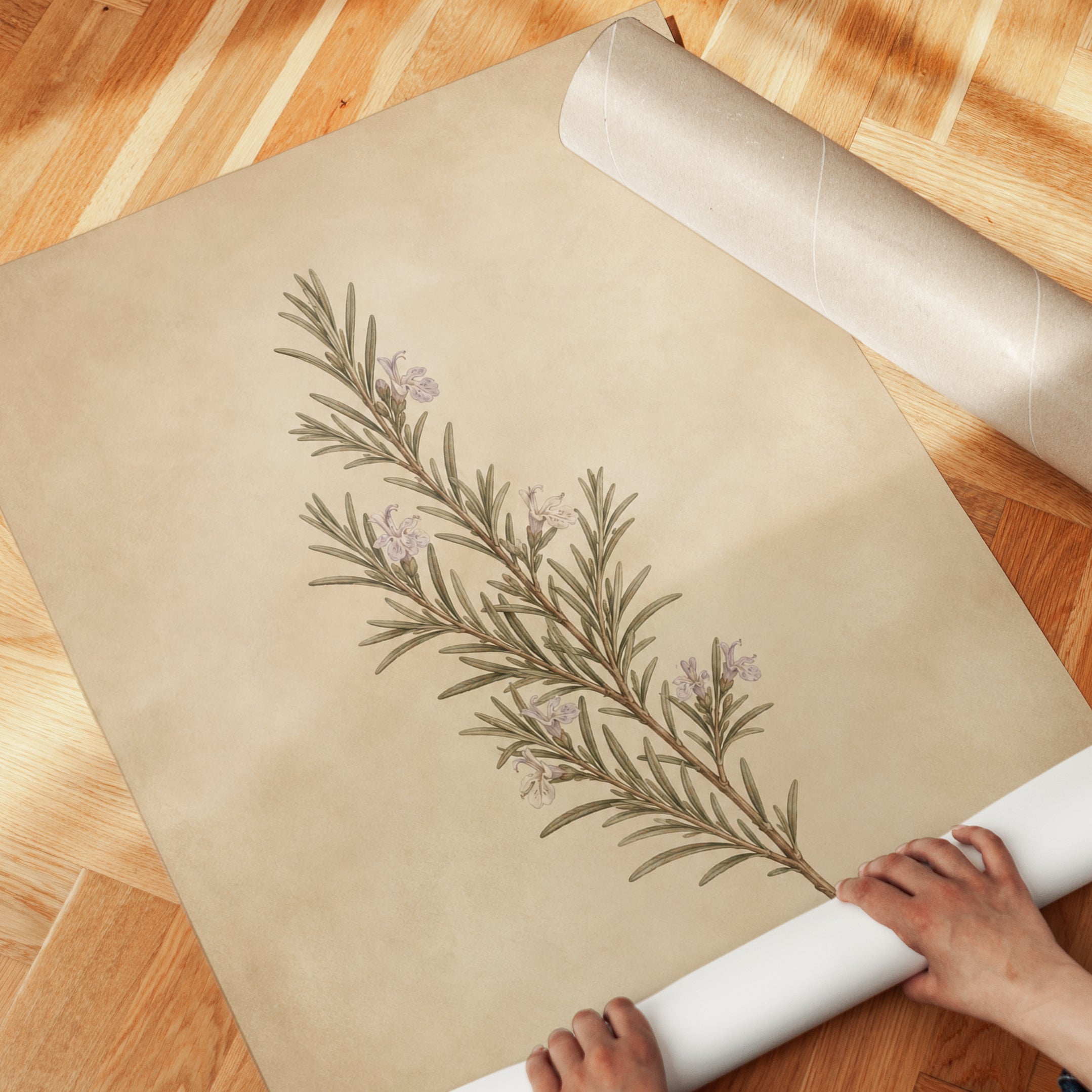 Rosemary Botanical Print — Vintage Herbal Illustration - detail