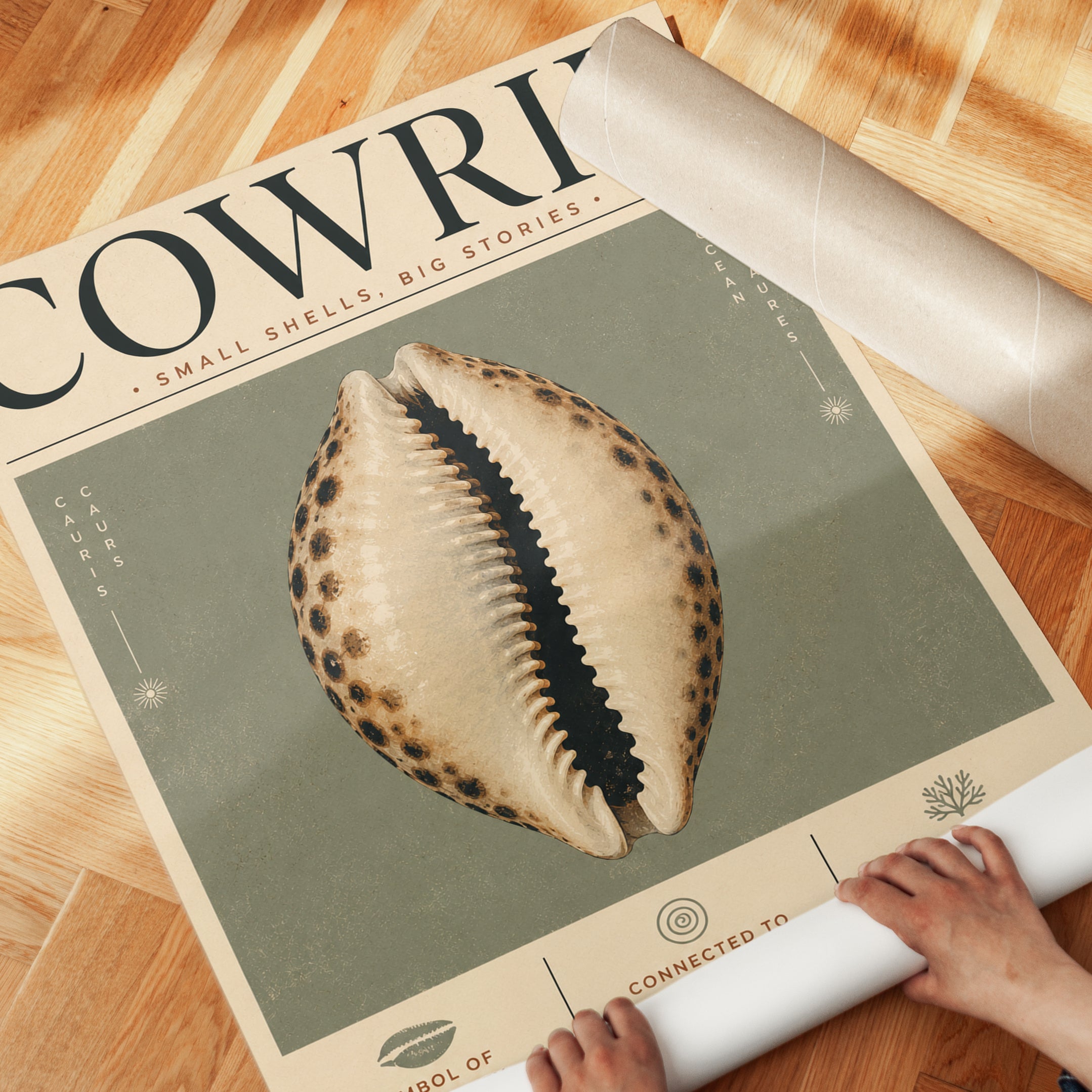 Cowrie Shell Wall Art – Coastal Decor Print - detail