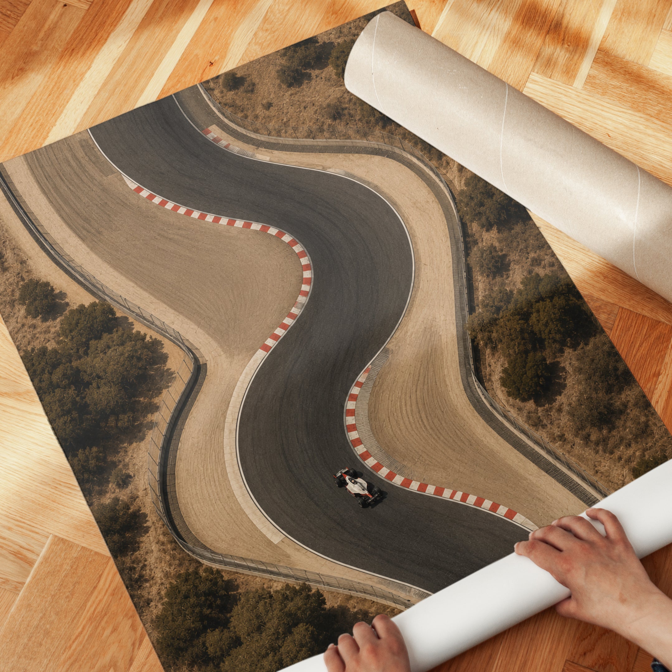 Race Track Wall Art – Aerial Racing Print - detail