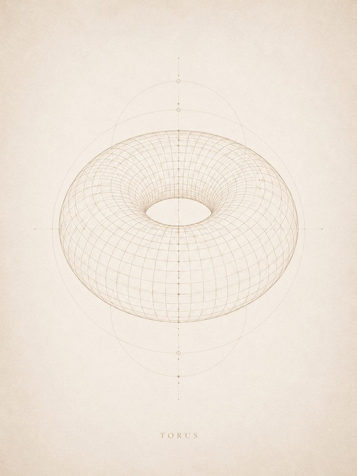 Torus Wireframe Art Print - artwork on paper