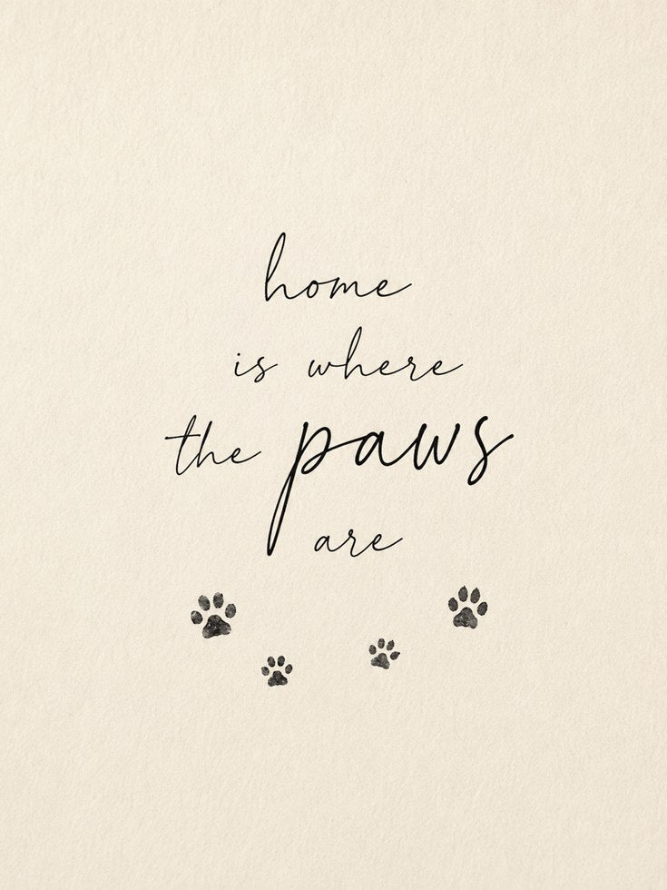 Home Is Where The Paws Are Print: Dog Lover Wall Art - artwork on paper