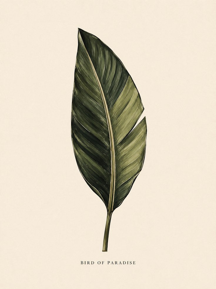 Bird of Paradise Leaf Print: Botanical Green Wall Art - artwork on paper