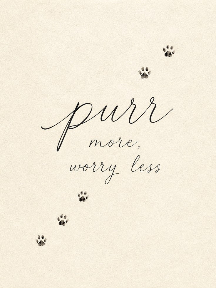 Cat Paw Print Wall Art - artwork on paper