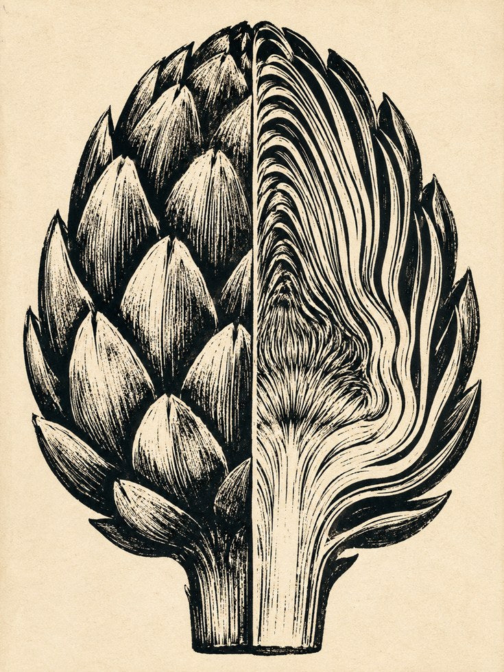 Artichoke Wall Art – Vintage Botanical Print - artwork on paper