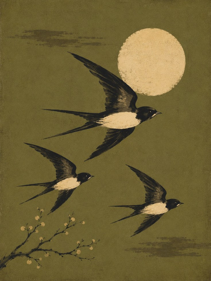 Vintage Swallow Bird Print - artwork on paper