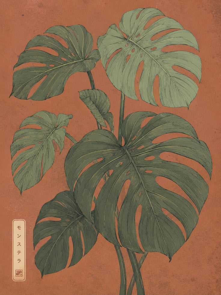 Monstera Leaf Print — Japanese Botanical Illustration - artwork on paper