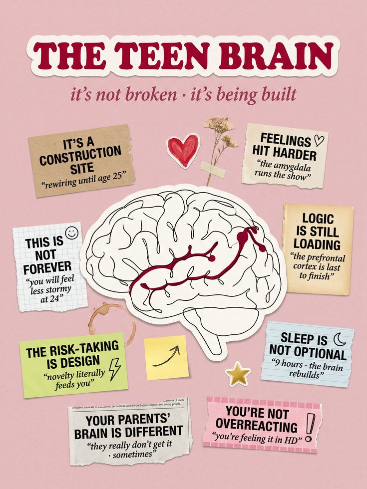 Teen Brain Educational Poster - artwork on paper