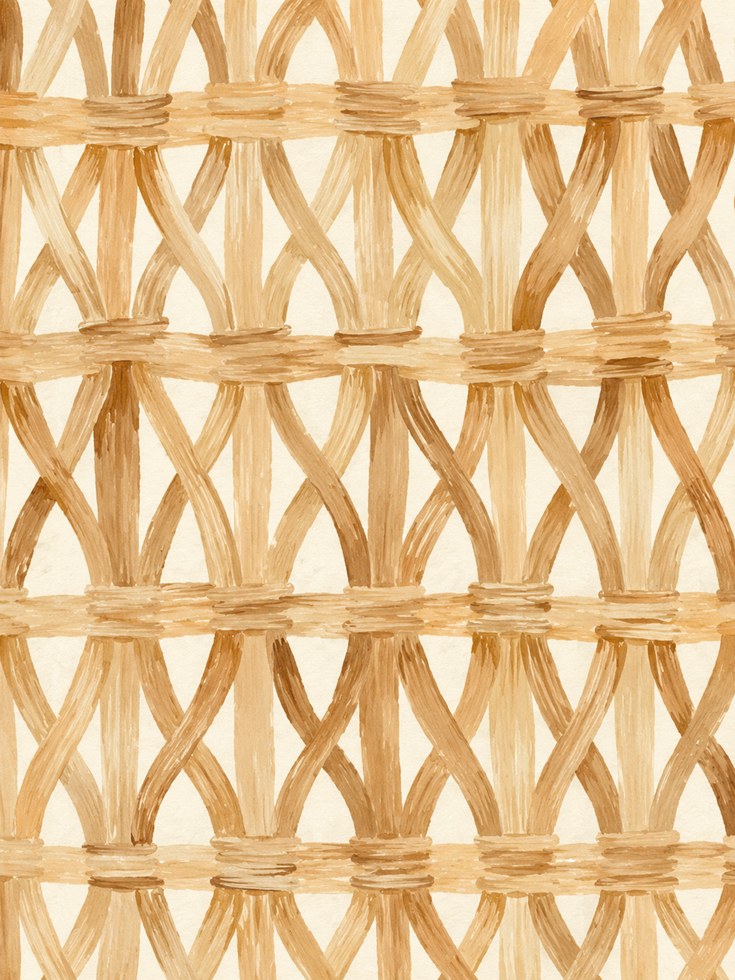 Rattan Woven Texture Print - artwork on paper