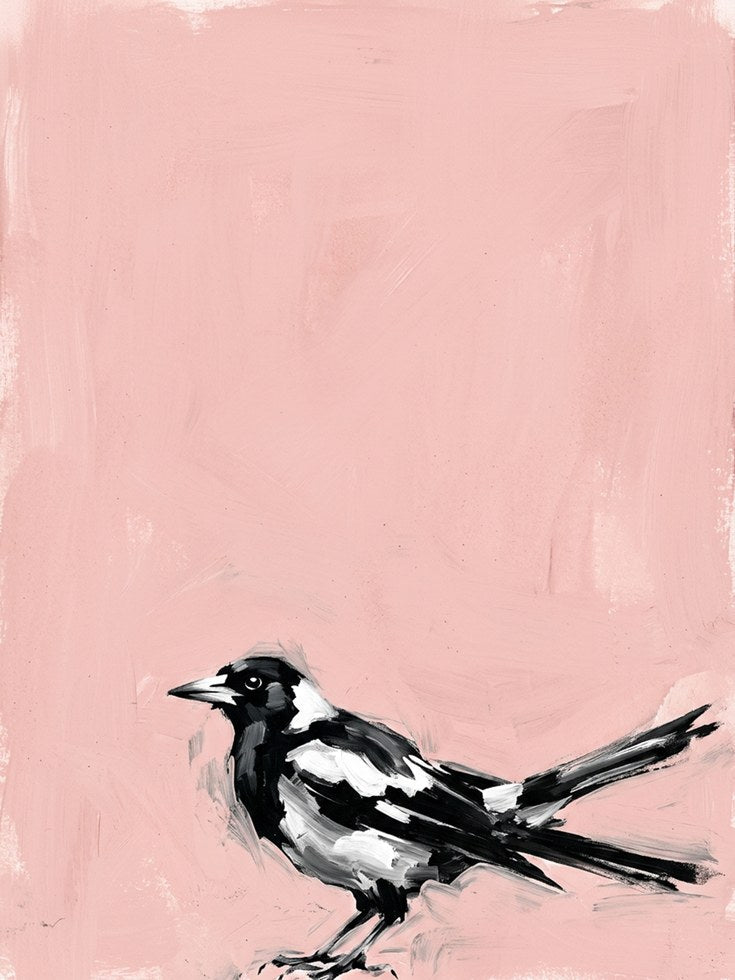 Magpie Bird Art Print: Black and White on Pink Background - artwork on paper