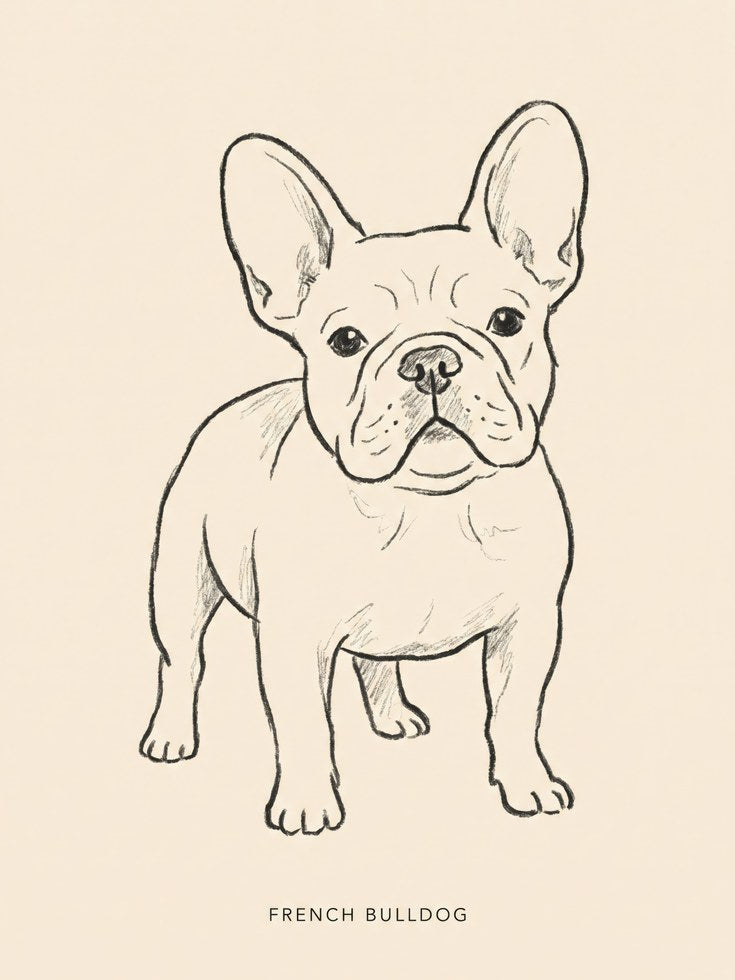 French Bulldog Minimalist Line Art Print — Hand-Drawn Sketch - artwork on paper