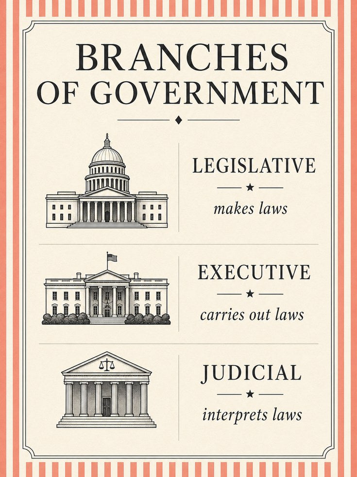 Branches of Government Educational Poster: Vintage Civics Print - artwork on paper