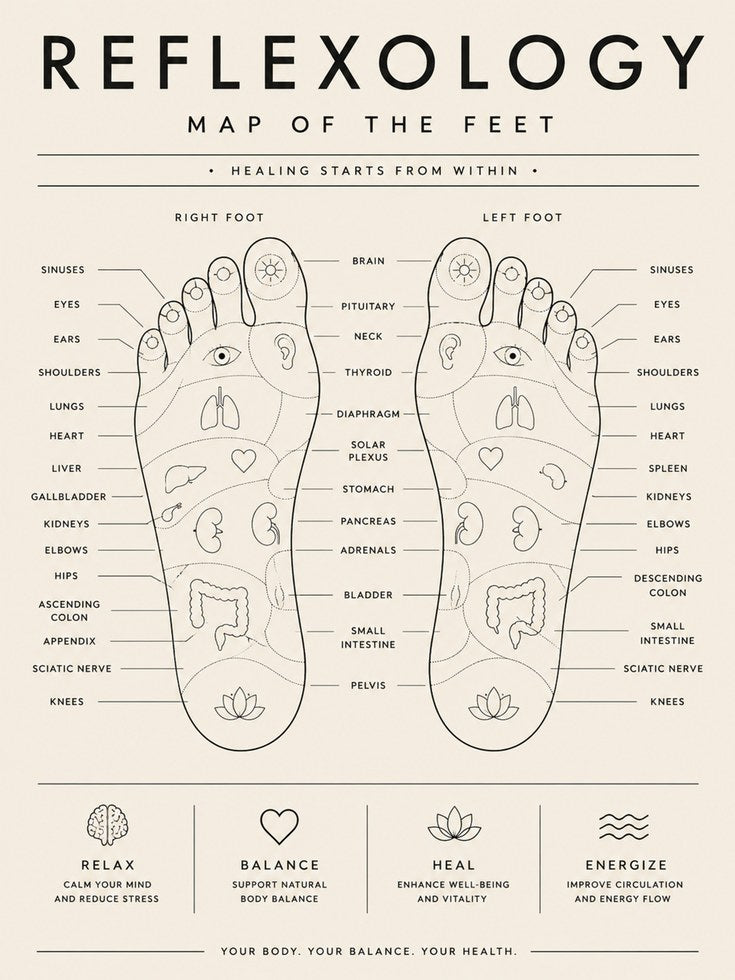 Reflexology Map Poster – Foot Chart Print - artwork on paper