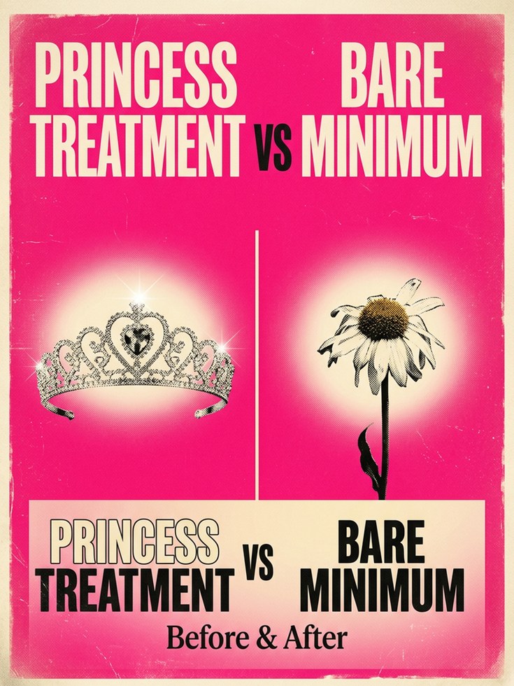 Princess Treatment vs Bare Minimum Art Print: Pop Art Pink - artwork on paper
