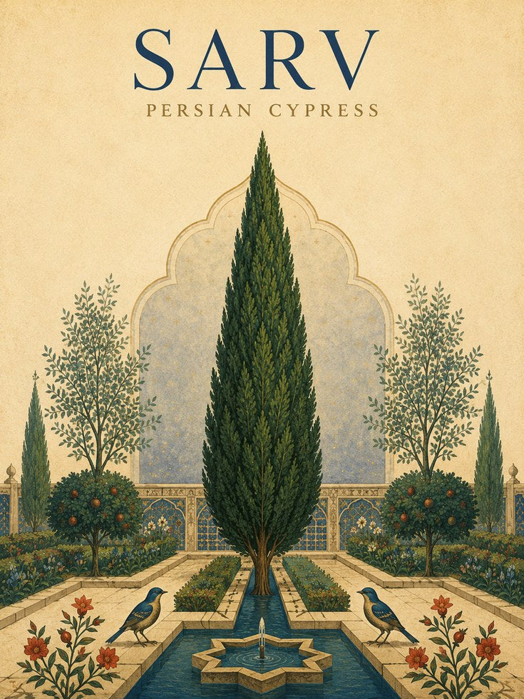Persian Garden Poster – Cypress Tree Wall Art - artwork on paper