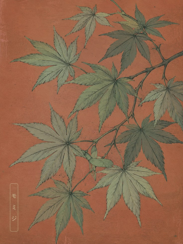 Japanese Cannabis Botanical Print — Vintage Illustration Style - artwork on paper
