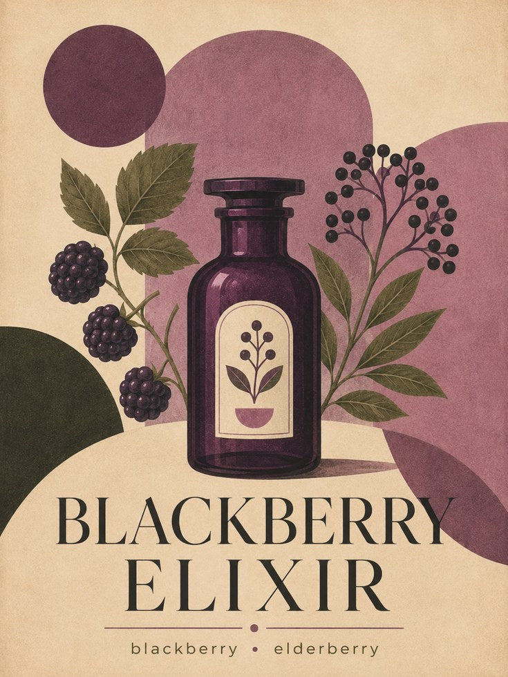Blackberry Elixir Botanical Print - artwork on paper