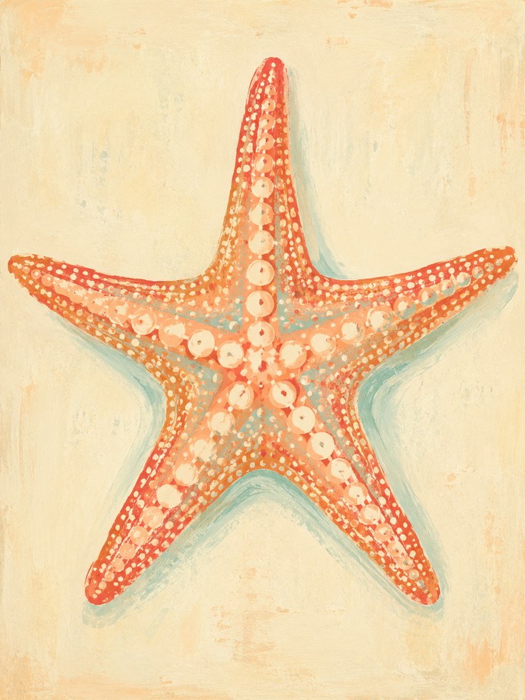 Starfish Wall Art – Coastal Beach Decor - artwork on paper