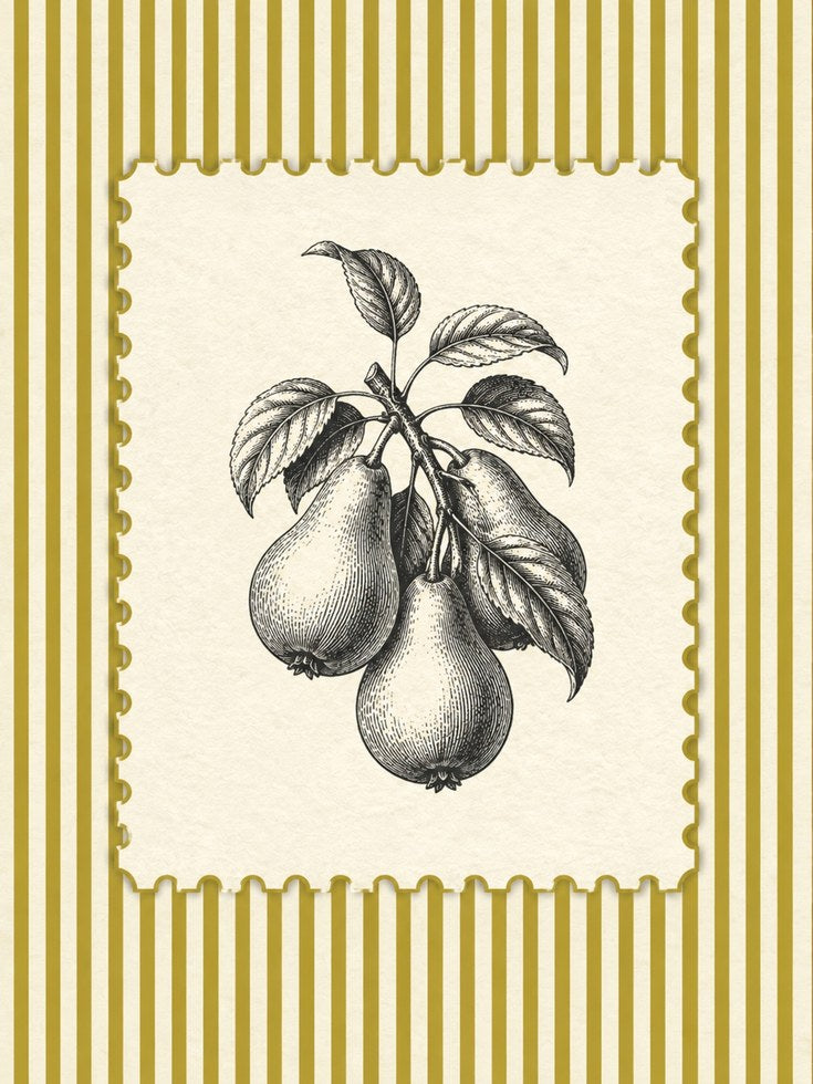 Pear Botanical Print – Vintage Fruit Wall Art - artwork on paper