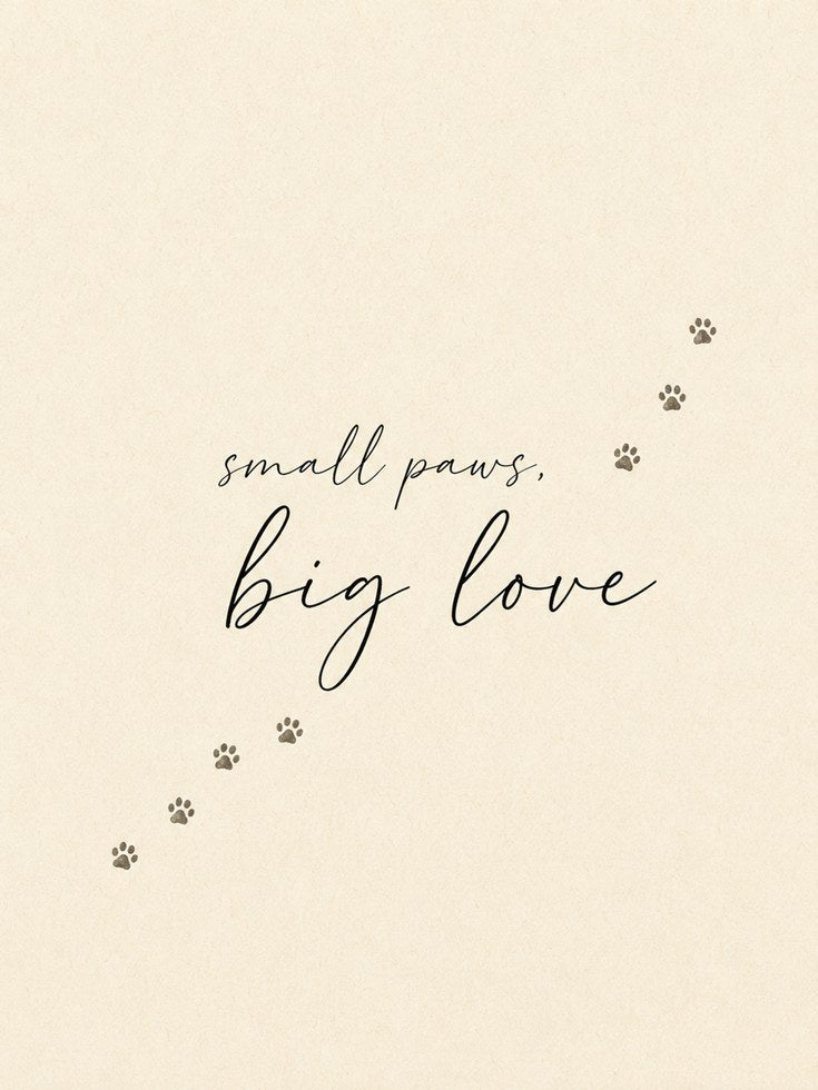 Small Paws Big Love Print: Minimalist Pet Typography Wall Art - artwork on paper
