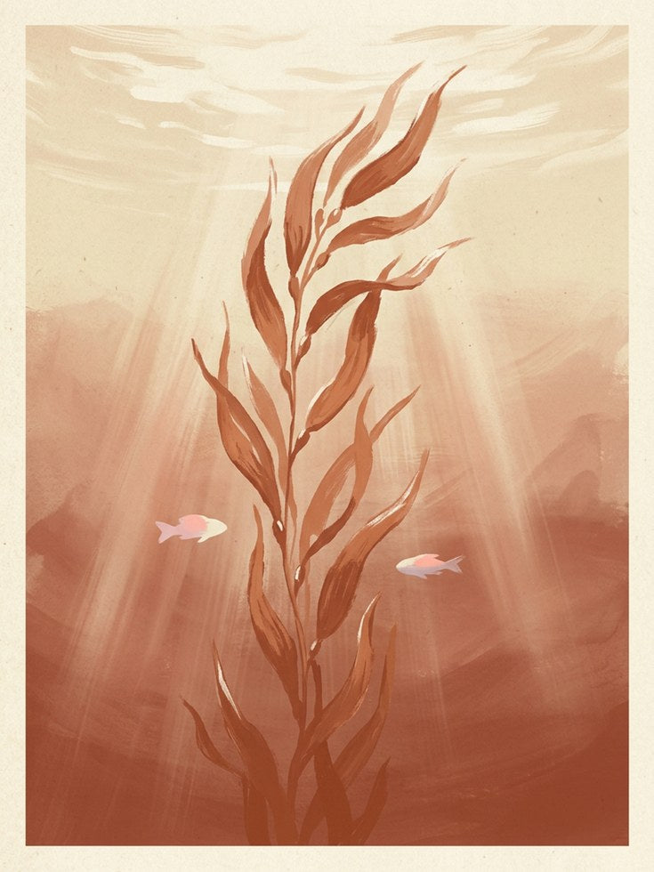 Underwater Seaweed Art Print: Minimalist Coral Ocean Scene - artwork on paper