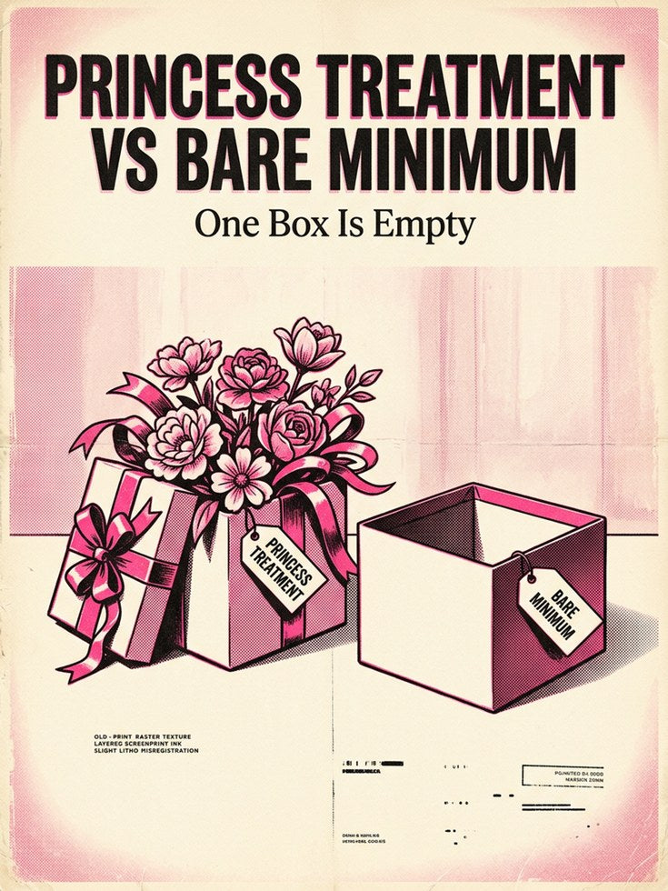 Princess Treatment vs Bare Minimum: Retro Pink Humor Poster - artwork on paper