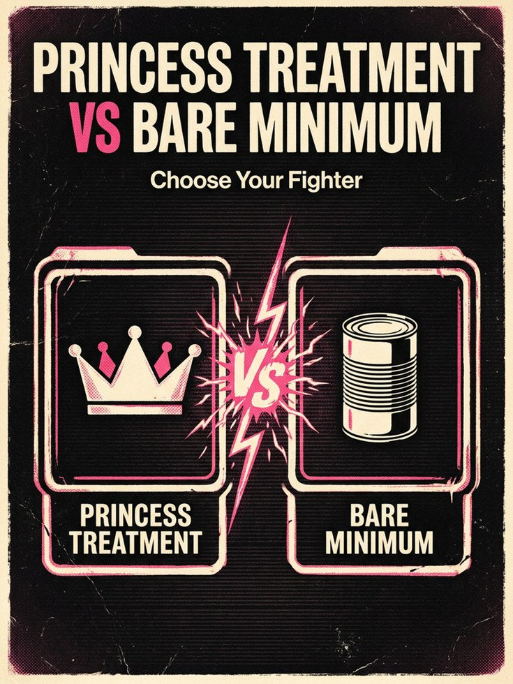 Princess Treatment vs Bare Minimum Poster: Retro Gaming Art Print - artwork on paper