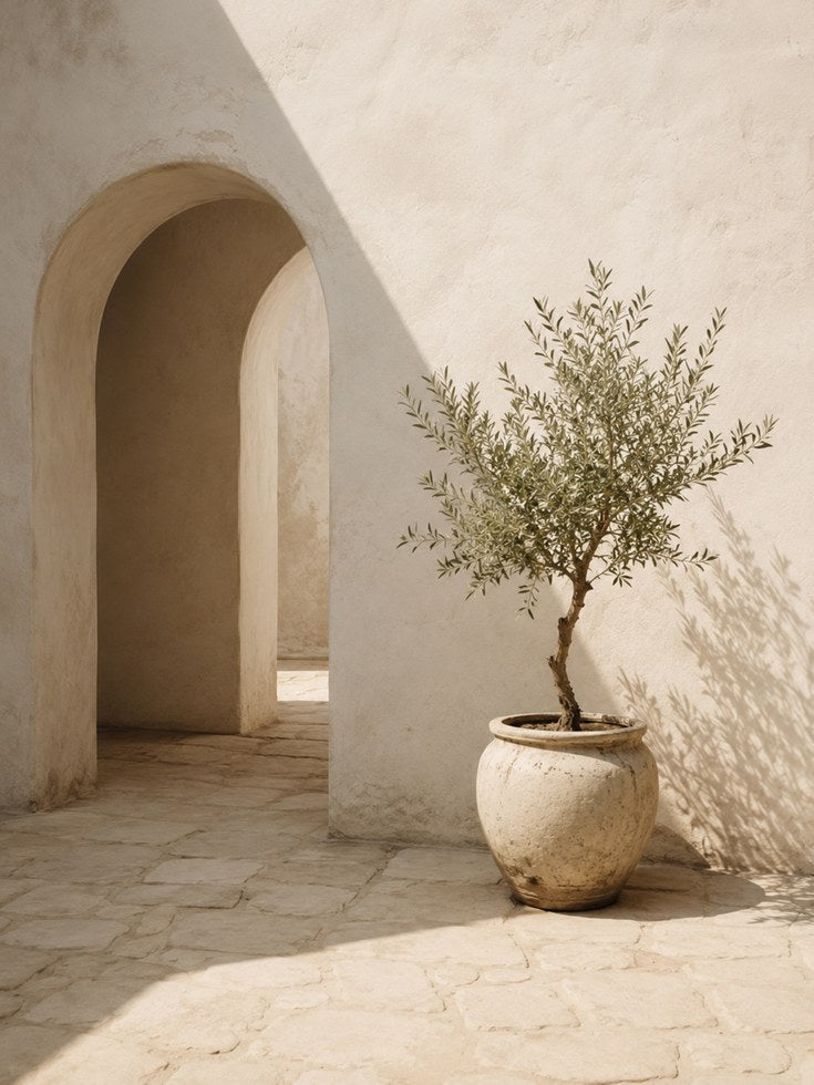 Mediterranean Archway Print: Olive Tree Courtyard - artwork on paper