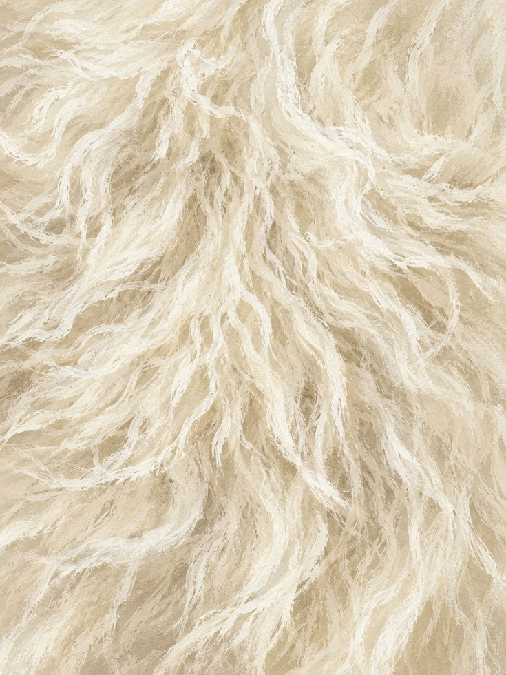 Fur Texture Wall Art - artwork on paper