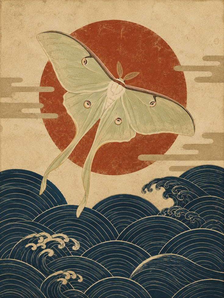 Luna Moth Japanese Print - artwork on paper