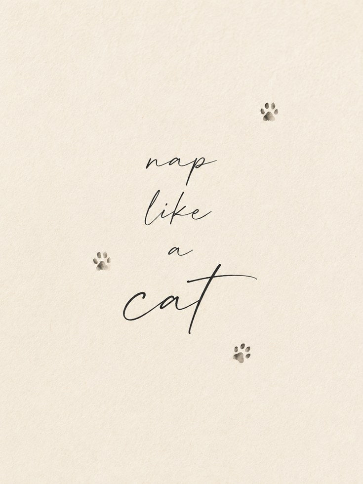 Nap Like a Cat Print: Handwritten Script with Paw Prints - artwork on paper