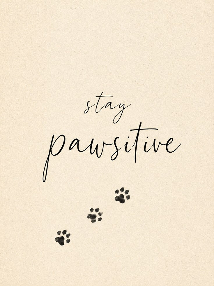 Stay Pawsitive Dog Print – Paw Prints - artwork on paper