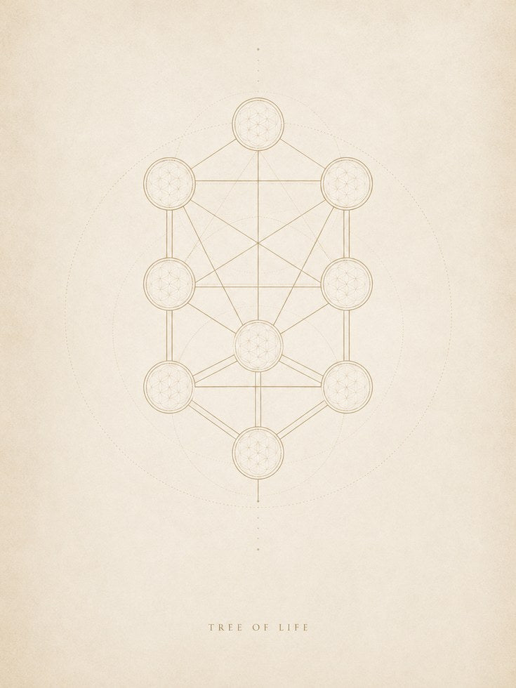 Sacred Geometry Print: Tree of Life Diagram - artwork on paper