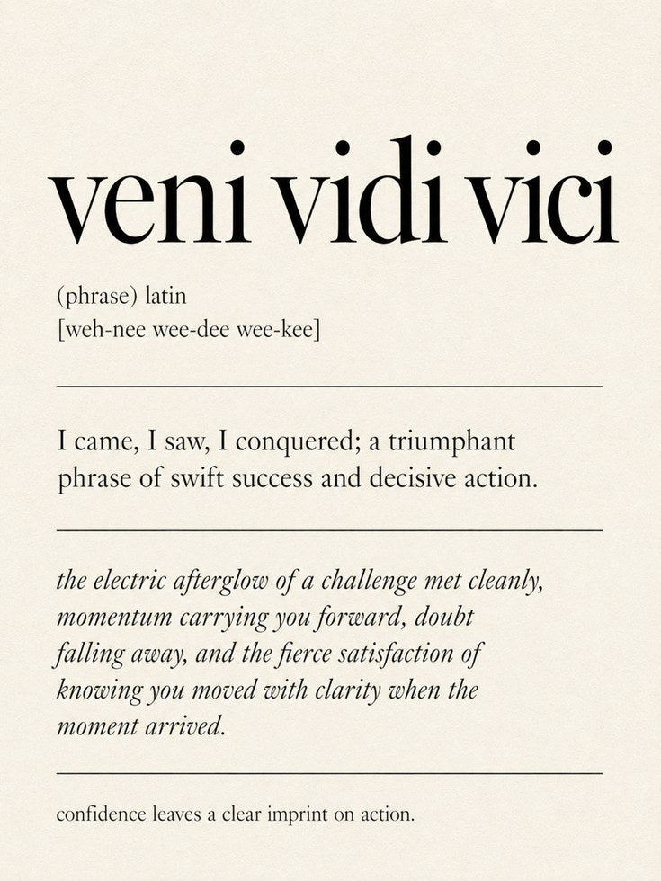 Veni Vidi Vici Latin Quote Print: Minimalist Typography Wall Art - artwork on paper