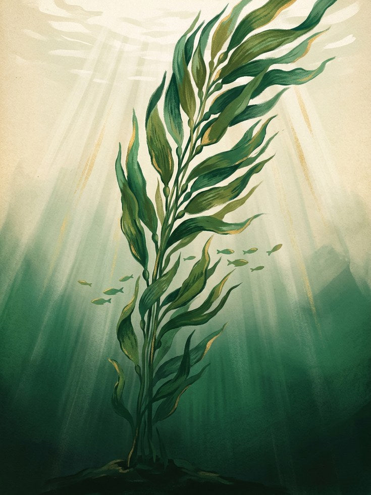 Underwater Kelp Painting — Flowing Seaweed Botanical Art - artwork on paper