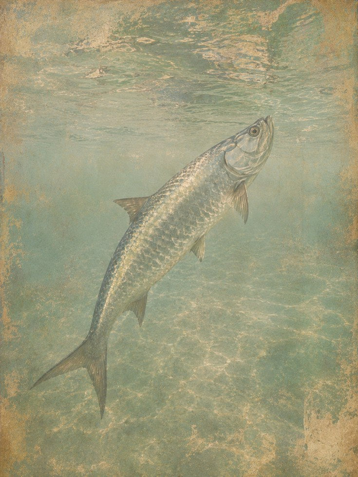 Vintage Fish Wall Art – Underwater Print - artwork on paper