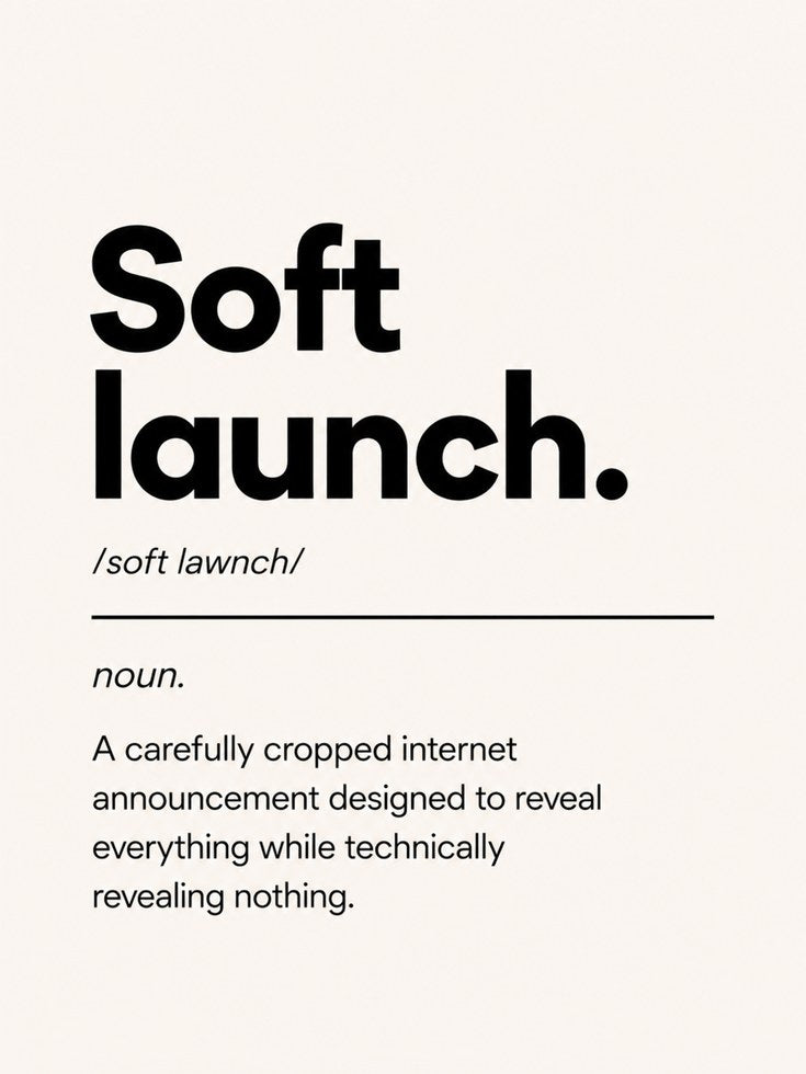 Funny Soft Launch Print - artwork on paper