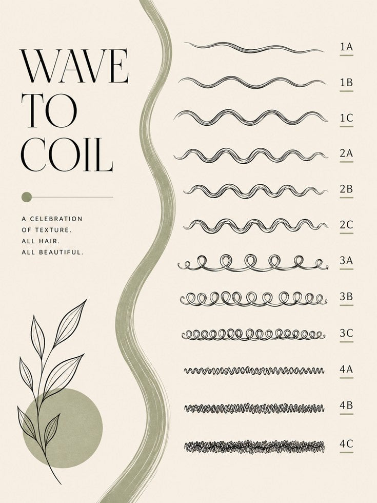 Natural Hair Type Chart Poster - artwork on paper
