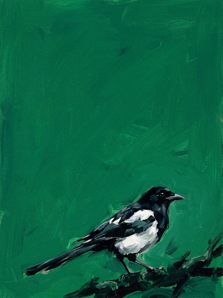 Magpie Bird Painting — Expressive Black & White on Green - artwork on paper