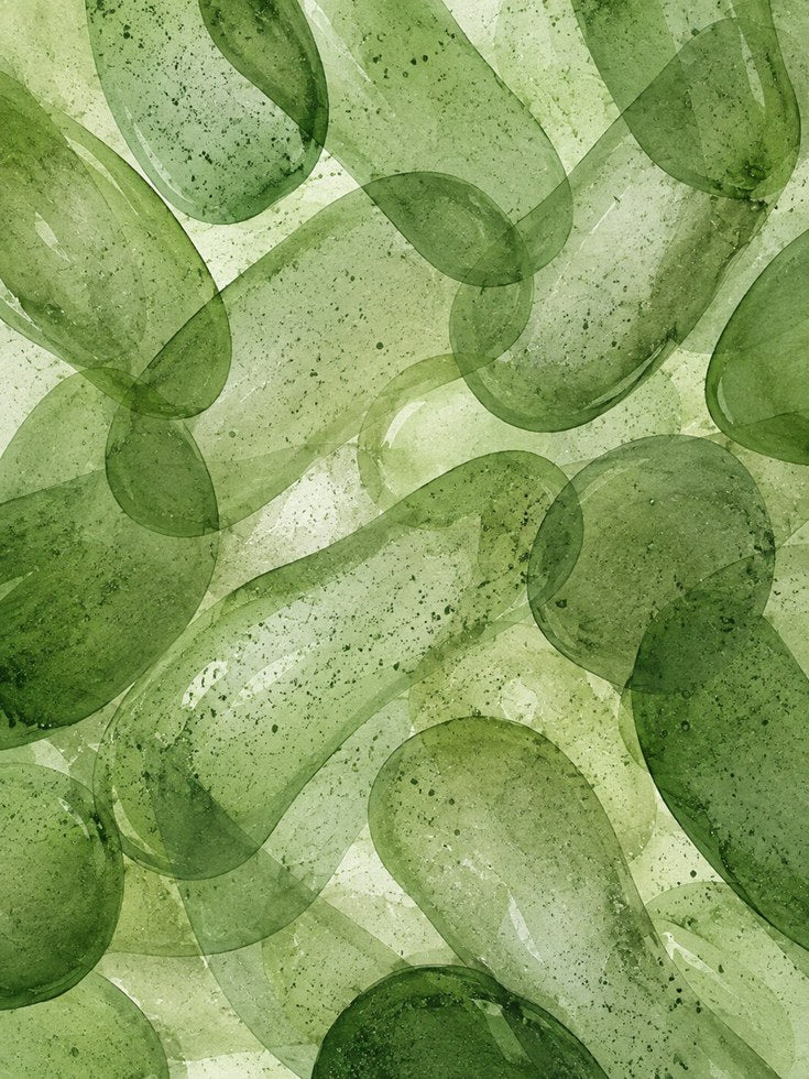 Eucalyptus Leaf Print – Green Botanical Wall Art - artwork on paper