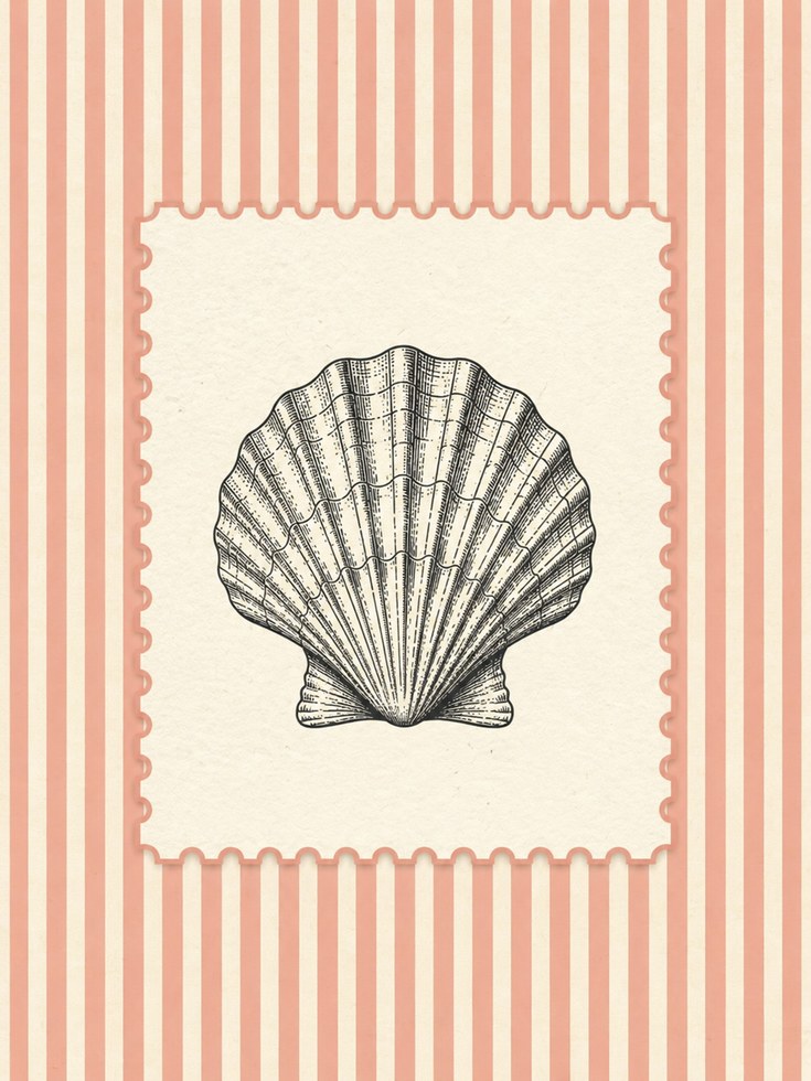 Seashell Wall Art – Coastal Nautical Print - artwork on paper