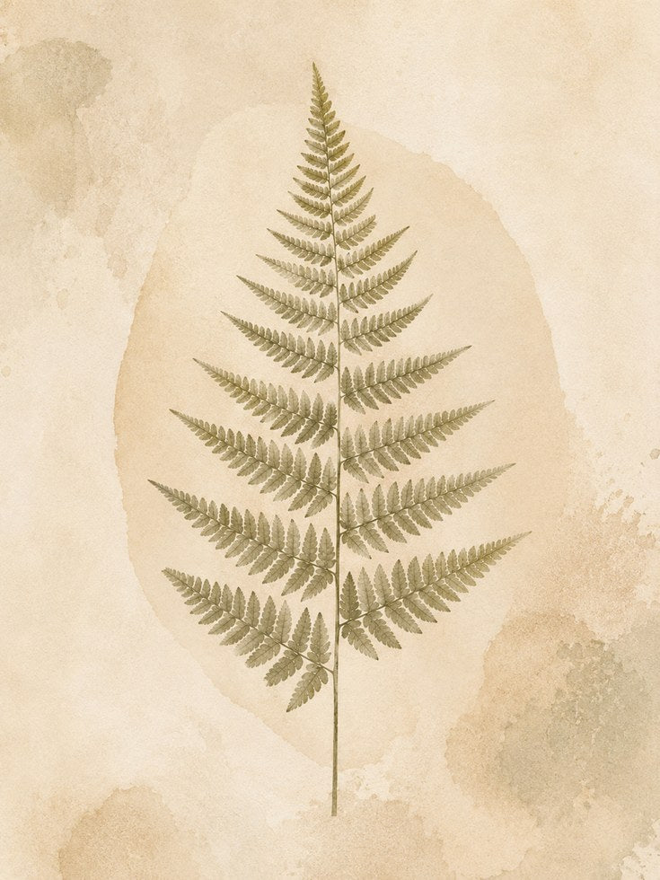 Vintage Fern Wall Art – Botanical Print - artwork on paper