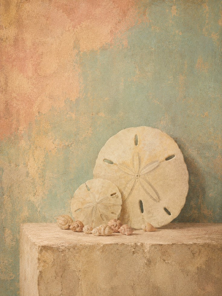 Sand Dollar Shells Wall Art: Coastal Still Life in Muted Tones - artwork on paper