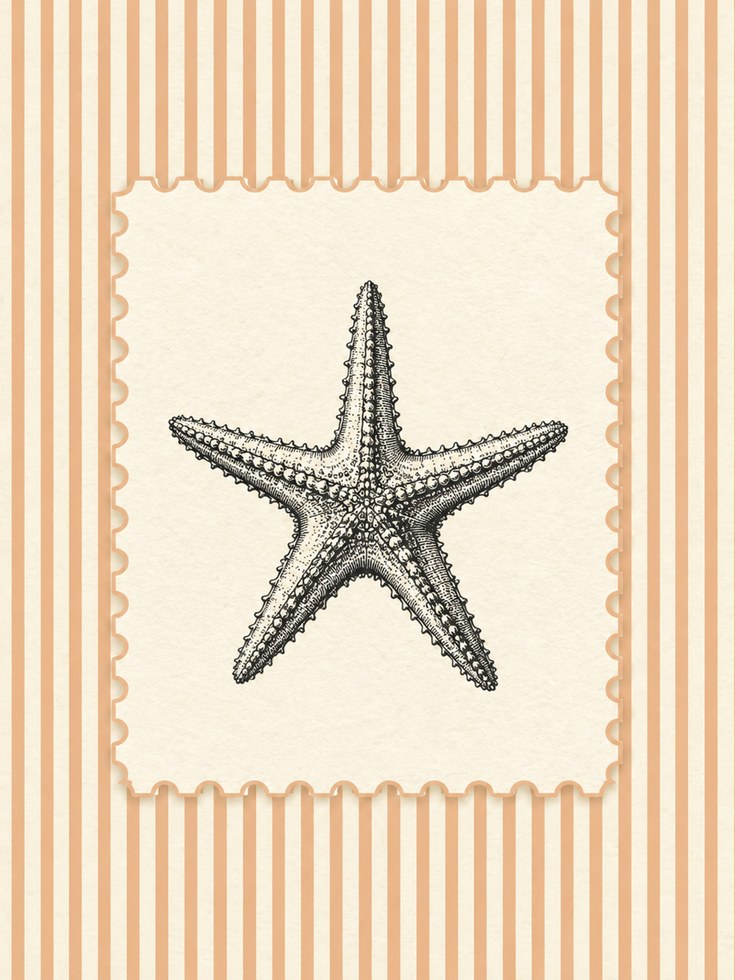 Starfish Wall Art – Coastal Nautical Print - artwork on paper