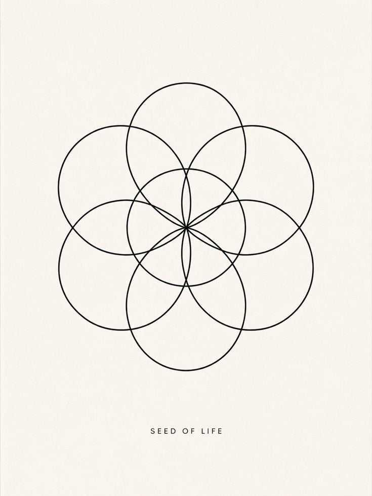 Seed of Life Wall Art - artwork on paper