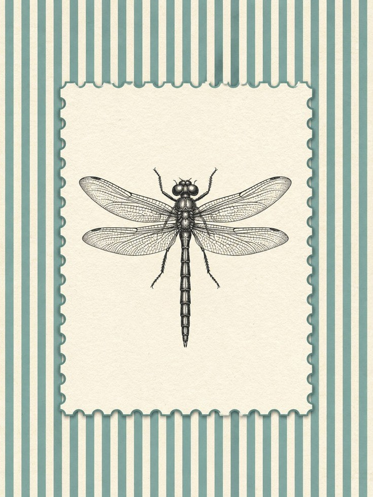 Vintage Dragonfly Print: Natural History Illustration Art - artwork on paper