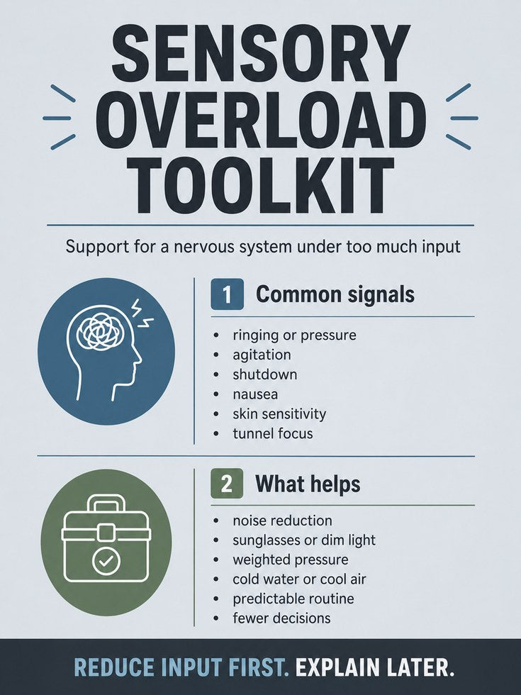 Sensory Overload Toolkit Poster: Mental Health Guide Print - artwork on paper
