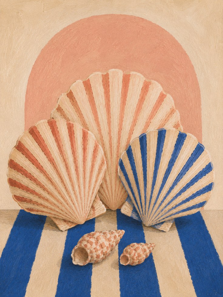 Seashell Print - artwork on paper