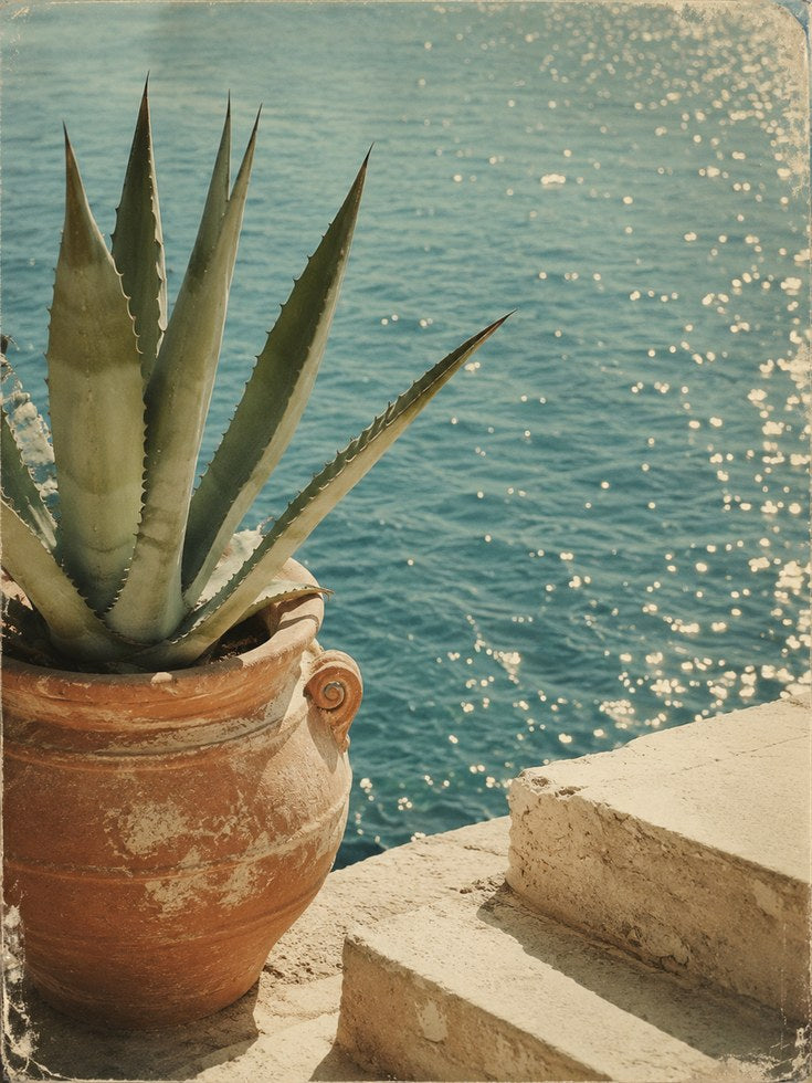 Coastal Mediterranean Wall Art - artwork on paper