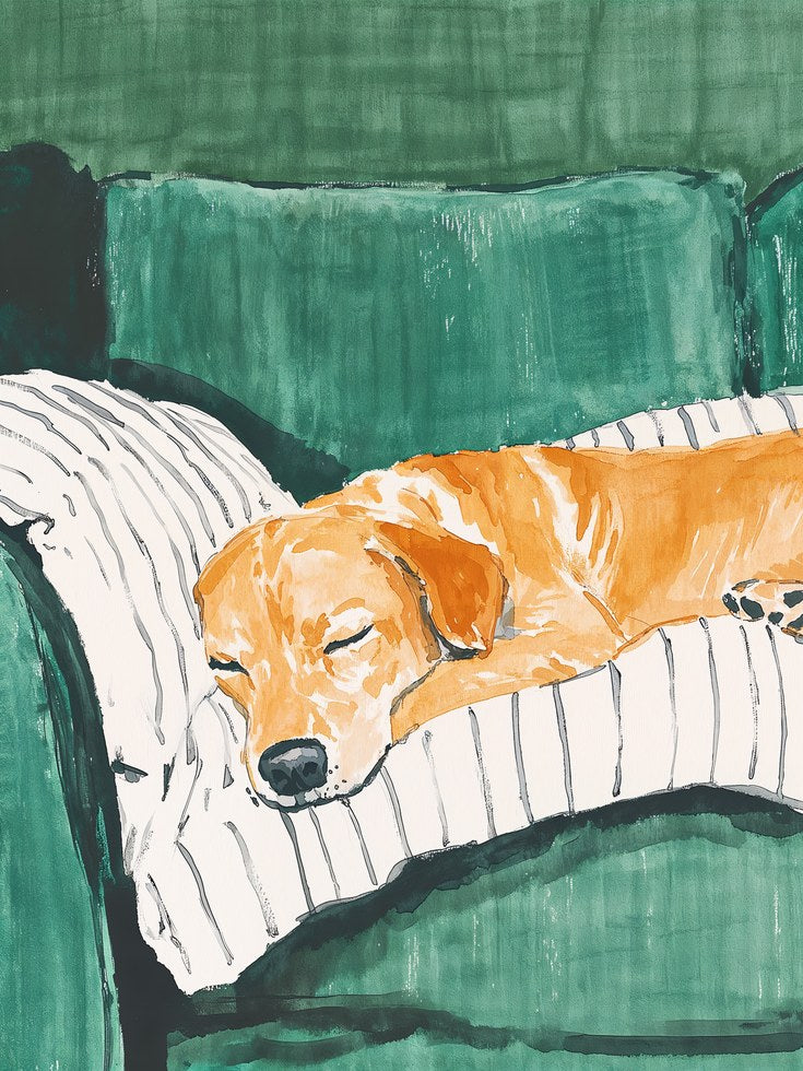 Golden Retriever Print: Calm Sleeping Dog - artwork on paper