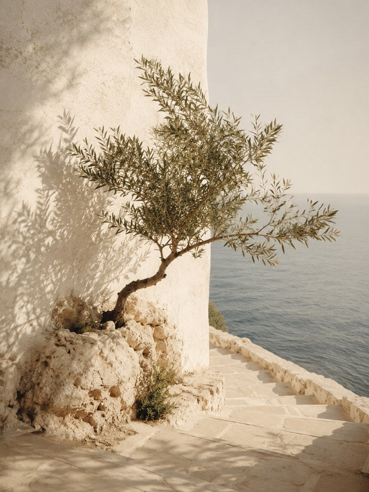 Mediterranean Olive Tree Print - artwork on paper